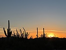 photo thumbnail #6