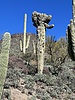 photo thumbnail #9