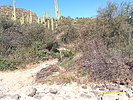 photo thumbnail #2