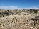 photo thumbnail #4