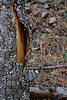 photo thumbnail #15