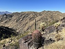 photo thumbnail #3