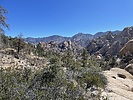 photo thumbnail #8