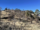 recent photo
