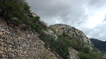 photo thumbnail #15