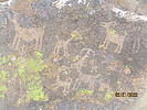 photo thumbnail #8