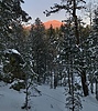photo thumbnail #6