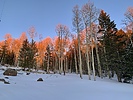 photo thumbnail #5