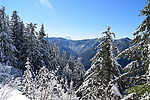 photo thumbnail #8