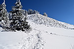 photo thumbnail #12