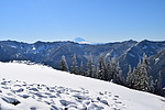 photo thumbnail #14