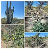 2022-02-25 :1: Hawknest Latigo Loop - MSPN :: tibber