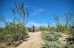 photo thumbnail #13