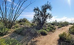 2022-02-25 :1: Hawknest Latigo Loop - MSPN :: tibber