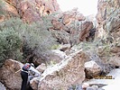 photo thumbnail #4
