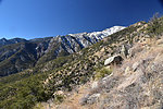 photo thumbnail #6