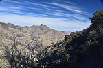 photo thumbnail #8
