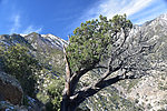 photo thumbnail #12