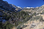 photo thumbnail #9