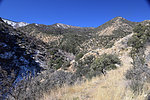 photo thumbnail #11