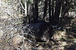 photo thumbnail #14