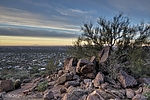 photo thumbnail #2