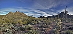 photo thumbnail #4