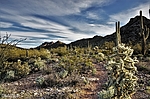 photo thumbnail #5