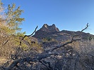 photo thumbnail #2