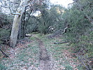 photo thumbnail #4