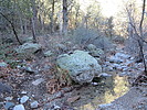 photo thumbnail #5