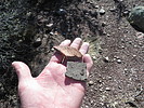photo thumbnail #13