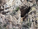 photo thumbnail #14