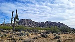 photo thumbnail #4