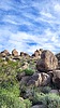 photo thumbnail #5