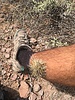 photo thumbnail #12