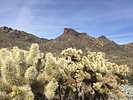 photo thumbnail #15