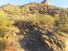 photo thumbnail #4