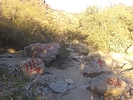 photo thumbnail #5