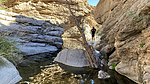 photo thumbnail #6