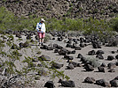 photo thumbnail #13
