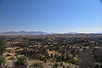 Featured Full Photo