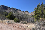 photo thumbnail #5