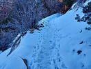 photo thumbnail #6