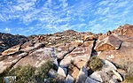 photo thumbnail #6