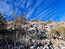 photo thumbnail #11