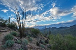 photo thumbnail #9