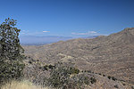 photo thumbnail #5