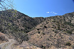 photo thumbnail #7
