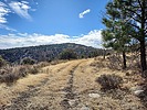 photo thumbnail #4